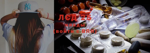 дживик Магас