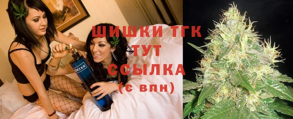 PSILOCYBIN Майский