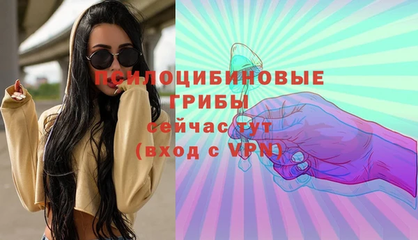 PSILOCYBIN Майский