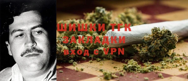 дживик Магас