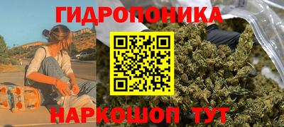 прущие грибы Лесосибирск