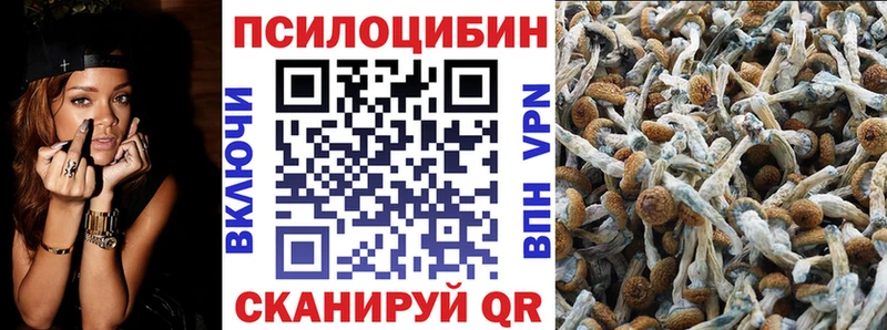 где можно купить наркотик  МЕГА ссылка  shop официальный сайт  Фролово  Галлюциногенные грибы Cubensis 