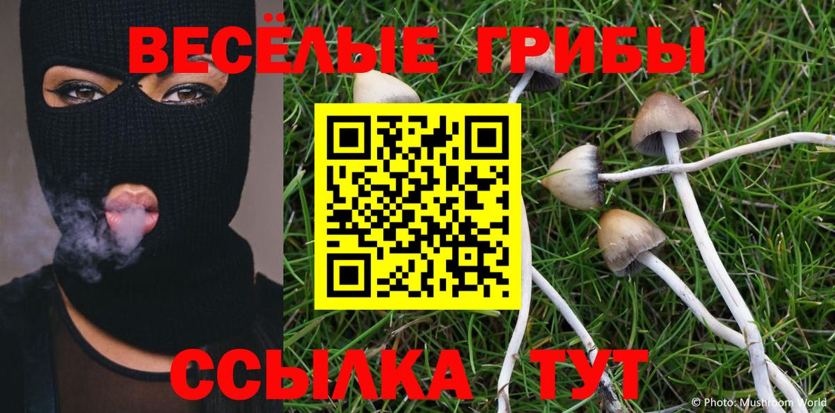 Галлюциногенные грибы прущие грибы Фролово