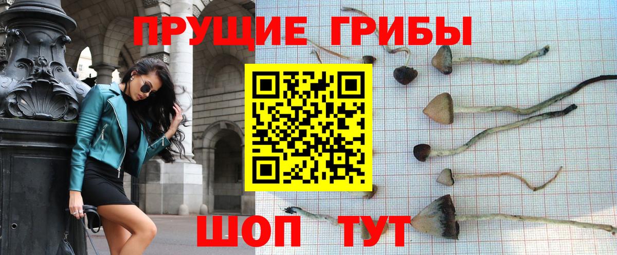Фролово  Галлюциногенные грибы Magic Shrooms  Вход с VPN 