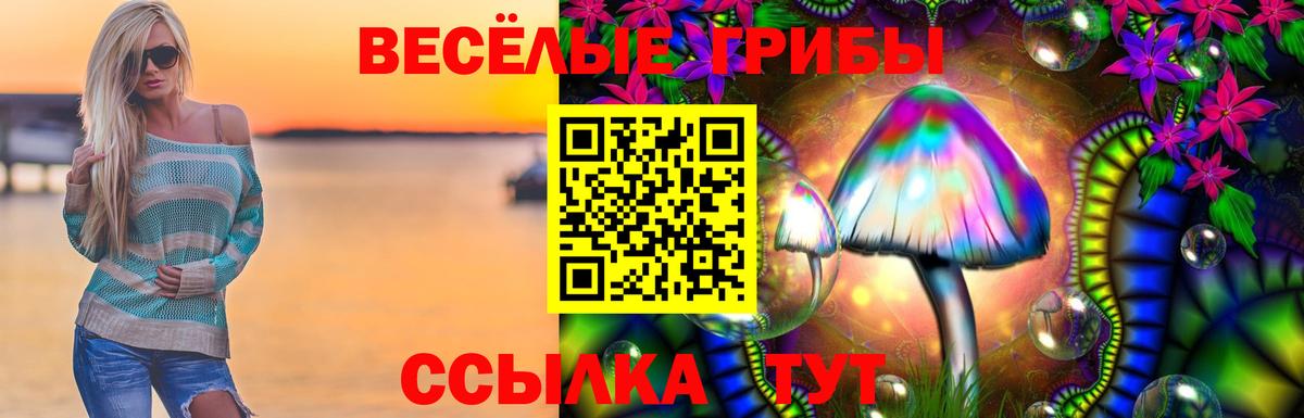 Псилоцибиновые грибы Psilocybine cubensis Фролово